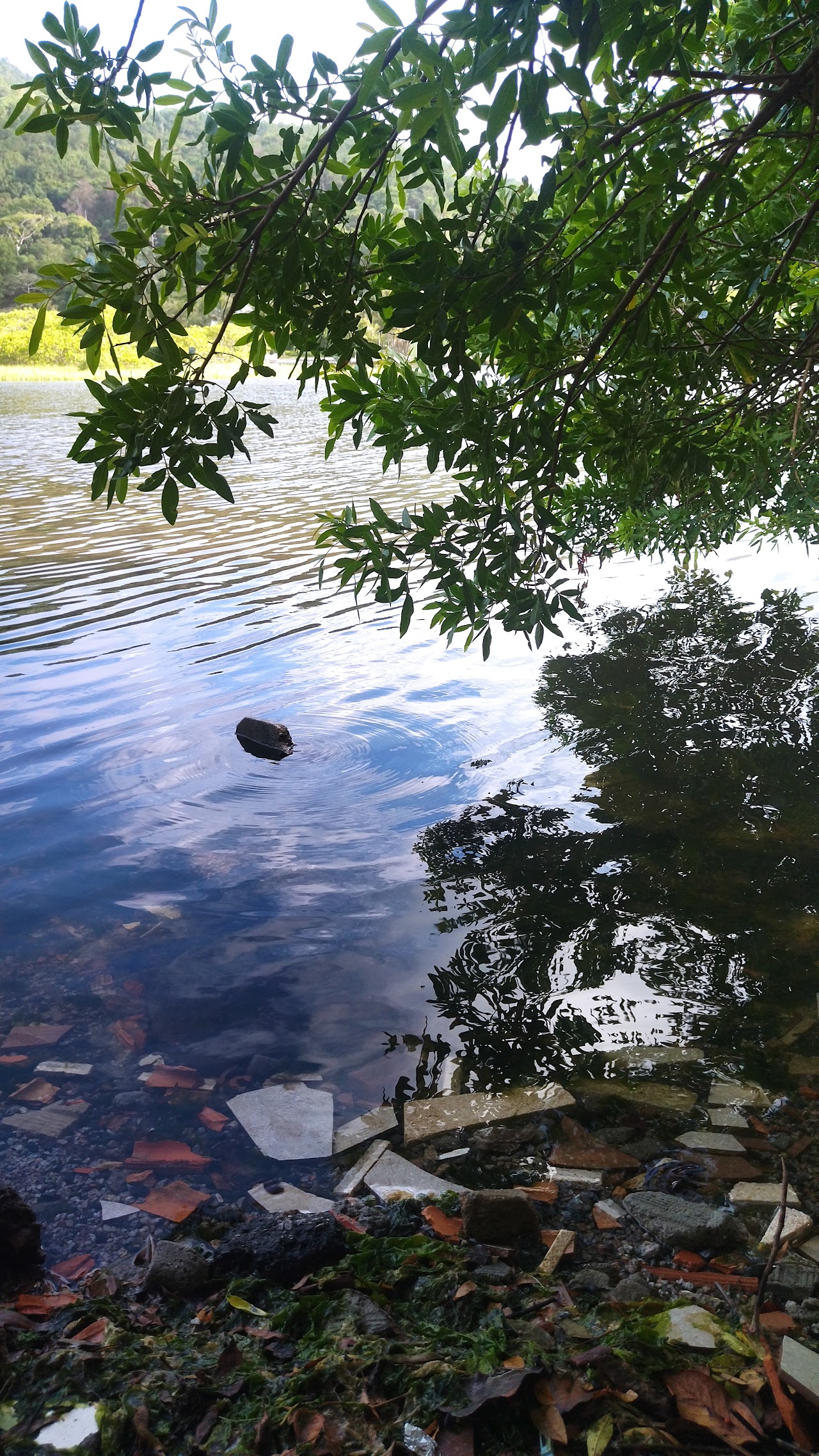 Canal da Barra da Lagoa — foto 6