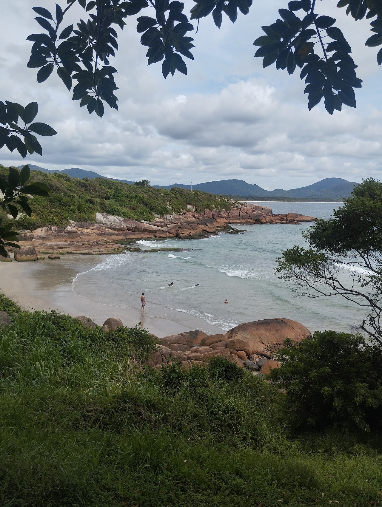 DONA FLORIPA — foto 4