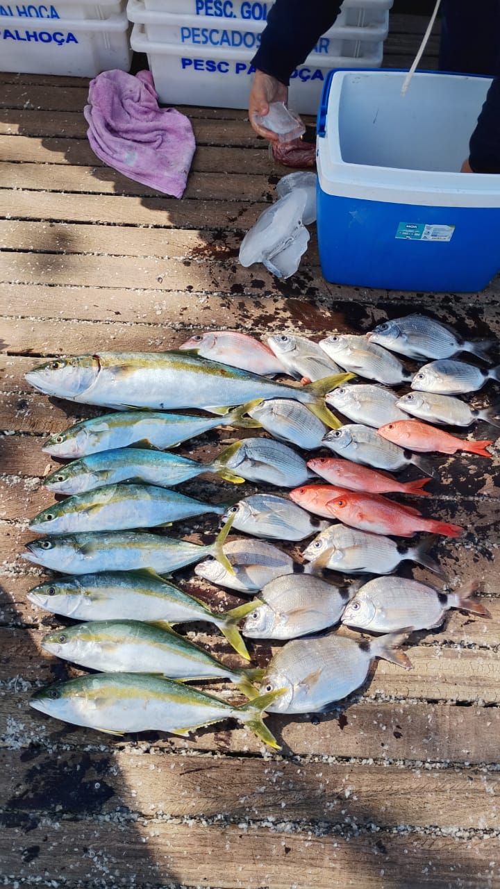 Pesca Embarcada — foto 3