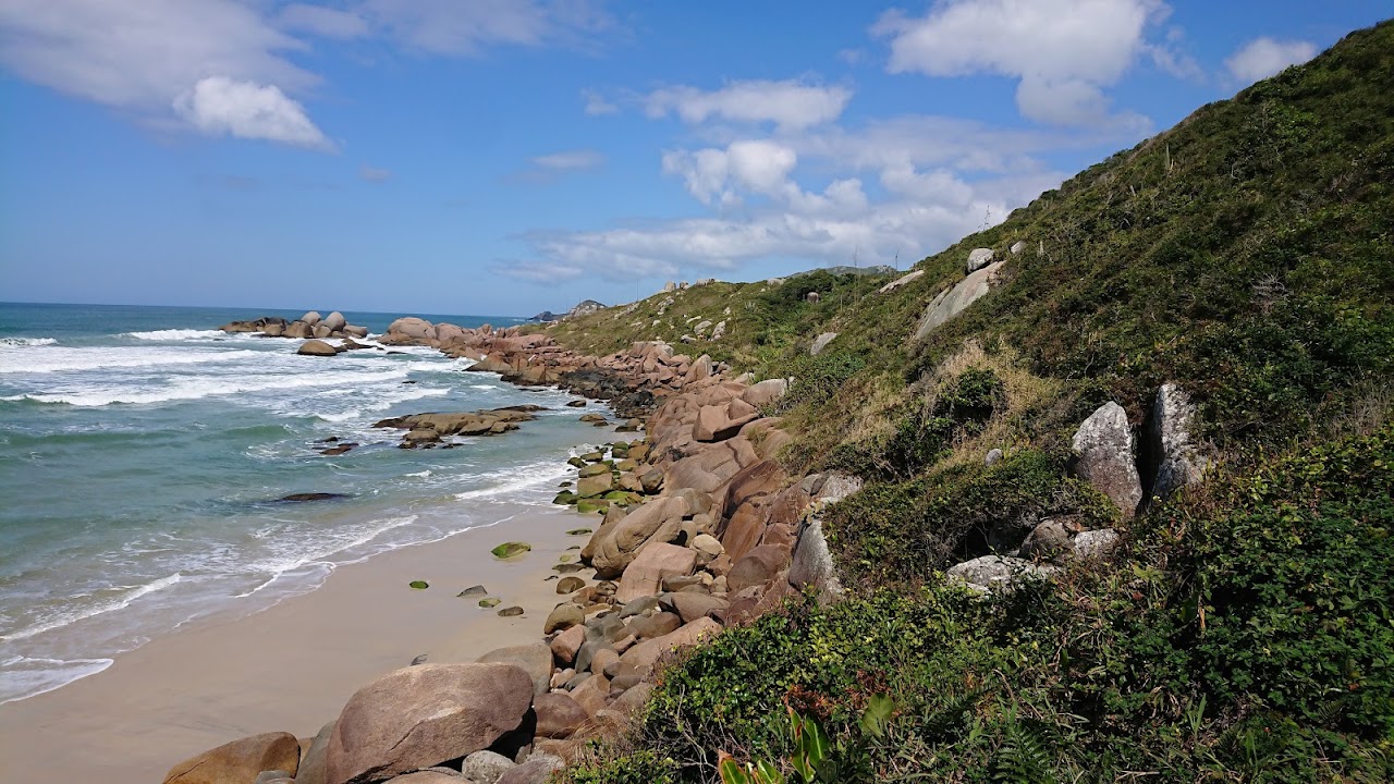 Praia da Galheta — foto 3